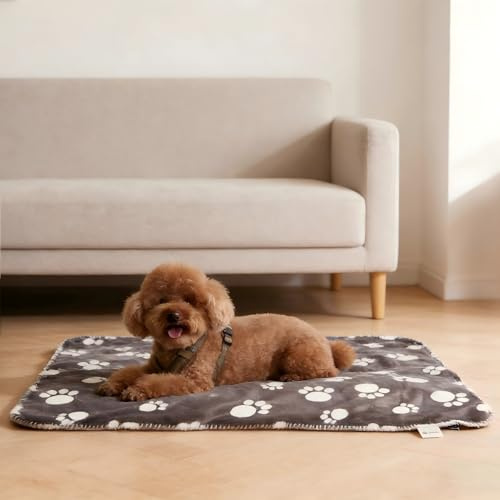 Pawsee Coperta impermeabile per cani con stampa a zampa, coperta in pile Sherpa a prova di pipì per protezione del divano letto, copertura protettiva per mobili reversibili lavabili, 75 x 50 cm