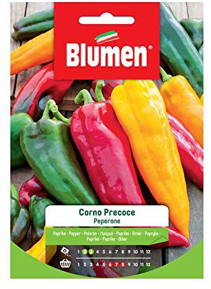 SEMI PEPERONE CORNO PRECOCE BLUMEN SEMENTI ORTO
