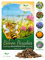 Semi per fioriere o giardino - Miscela multicolor - Fiori Perenni (Annuali) Paradiso delle Api - confezione da 10 g
