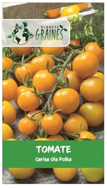 100 Graines de Tomate Cerise Ola Polka Précoce & Productive | Petits Fruits Jaunes Doux | Culture Facile Balcon