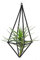 Soporte para Plantas de Aire Cuadrilátero para Colgar Tillandsia Estante Independiente para Colgar en La Pared Cuadrilátero Forma de Pirámide Metal Geométrico Tillandsia Estante