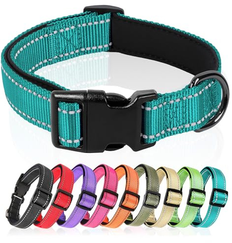HEELE Hundehalsband, Hundehalsband aus Nylon, Reflektierend Halsband Hund mit Weich Neopren Gepolstert für Welpen Kleine Mittel Große Hunde Läng Einstellbereich 26-38cm, Türkis, S