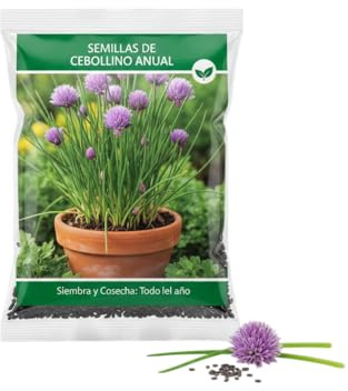 Semillas de Cebollino Fresco para Cocina Casera DECOALIVE