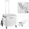 PUCHIKA Einkaufstrolley Treppensteiger klappbar, Einkaufswagen, Einkaufstrolley mit Deckel, Shopping Trolley faltbar, flachziehenbarTeleskop Griff, 8Gummiräder, 48L,Hellgrau