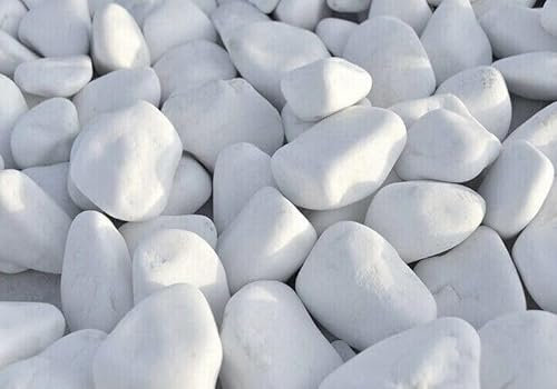 Sassi ciottoli colorati Bianco in Quarzo naturale 100-200 mm sacco da 10 Kg decorazione giardino pietre colorate Vivaio di Castelletto