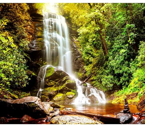 decomonkey Fototapete Wald Wasserfall 450x315 cm XL Tapete Fototapeten Vlies Tapeten Vliestapete Wandtapete moderne Wandbild Wand Schlafzimmer Wohnzimmer Natur Landschaft