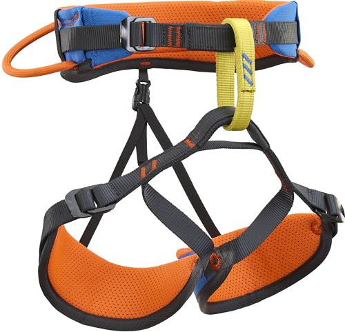 Climbing Technology Dyno - Arnés de escalada para niños, color gris