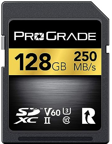 Scheda SD UHS-II da 128GB V60: velocità di scrittura fino a 130MB/s e velocità di lettura 250MB/s | Per professionisti, cineasti, fotografi e curatori di contenuti - Di Prograde Digital