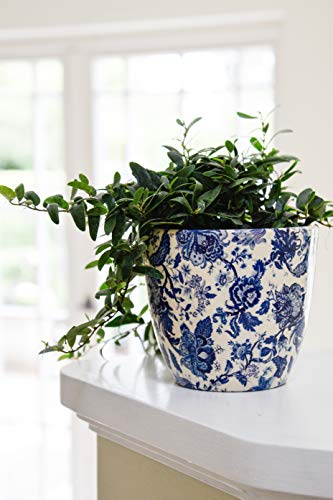 Ivyline Blumentopf, Keramik, blau, 16 cm