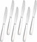 AEX 6X Stainless Steel Table Knives Set | Compact & Versatile Cutlery for Butter, Cheese, and Dining | Ergonomic Design, Dishwasher-Safe, Durable Serrated Blades