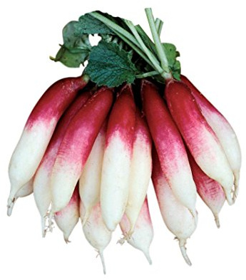 Burpee Fire 'n Ice Radish Seeds 300 seeds