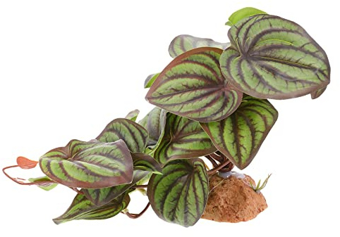 OATIPHO Plante Artificielle en Plastique et Résine Décoration Sécurisée et Cachette Naturelle pour Terrarium Reptile pour Boîte de Reptiles et Aquarium