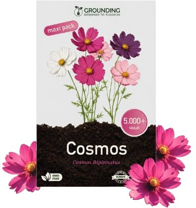 Grounding Maxi - Graines de Cosmea Mix blanc, rose et fuchsia, 5000+ graines, hauteur 80-120 cm. Le Cosmos bipinnatus est idéal pour massifs et fleurs coupées - Semis facile, Qualité Européenne