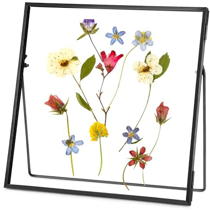 REDHUGO Dubbel glasram för pressade blommor och flytande bilder, metall geometrisk fyrkantig, 15 x 15 cm