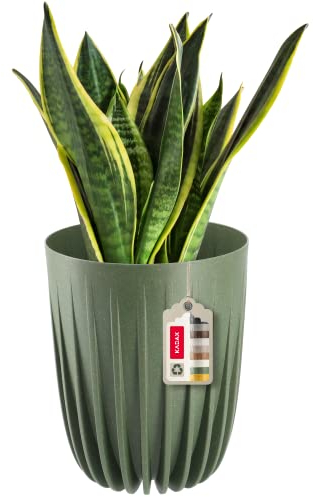 KADAX Blumentopf aus Kunststoff mit Naturmaterialien, Moderne Pflanztöpfe, Pflanzentopf mit geometrischem Muster, runder Blumenkübel mit Einsatz, Naturblumentopf, Hochübertopf (∅ 19 cm, Dunkelgrün)