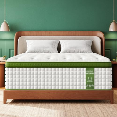 BedStory Firm Queen Mattress 12 Inch, Hotel Collection Hybrid Mattresses with Zoned Lumbar Support, Extra Back & Hip Support, CertiPUR-US, Fiberglass-Free, 365-Night Trial