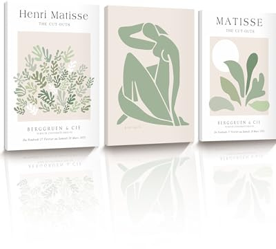 HesenDot 30x40cm Matisse Green Abstract Framed Wall Art Set of 3 | Modern Botanical Canvas Prints, Wrapped Canvas Wood Frame, Minimalist Home Decor for Bathroom Living Room Bedroom Kitchen