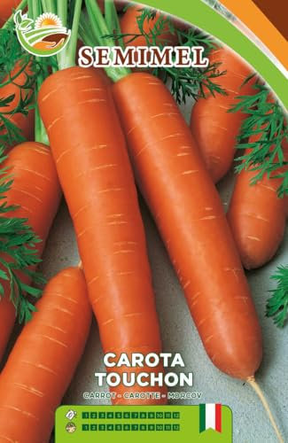 Carota Touchon- Semi di Carota Precoce e Produttiva, Radici Dolci e Succose, Perfetta per Terreni Soleggiati e Leggeri 2 confezioni