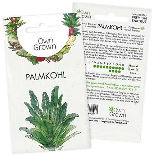 Palmkohl Samen: Premium Saatgut zur Anzucht von 100 Nero di Toskana Palmkohl Pflanzen – Alte Gemüsesorten Samen für den Garten – Wintergemüse – Kohl Gemüse, Gemüsesamen OwnGrown