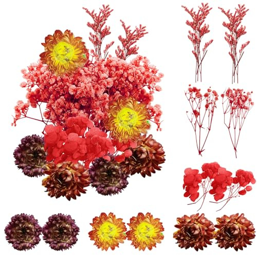 REJOECE 2 Borse Fiori Secchi Naturali, Fiori Secchi Decorativi, Fiore Essiccato Pressati, Fiori Secchi Artigianato, Fiori Secchi Resina Epossidica per Candele Gioielli in Resina Scrapbooking(ROSSO)