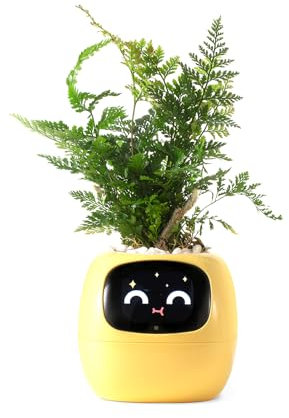 PLANTSIO Vaso da Fiori Intelligente con Display LCD - Fioriera Decorativa per Casa, Compagno Ideale per Piante su Scrivania, Regalo Originali, Adatta anche con Animali Domestici (Giallo)