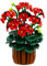 HOGOKIDS Flowers Botanical Geranium Building Set - 548PCS Artificial Bonsai Plants for Home Office Décor Display Building Blocks Toy Creative Flower Potted Craft Surprise Birthday Gift for Adults Girl