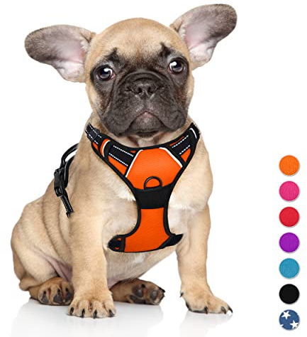 BARKBAY No Pull Hundegeschirr, groß, reflektierend, mit Frontclip und einfacher Kontrolle, für Spaziergänge, Training, Laufen (Orange, S)