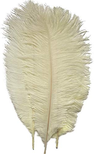 Sowder 50pcs Natural 8-10inch(20-25cm) Ostrich Feathers Home Wedding Decoration(Ivory)