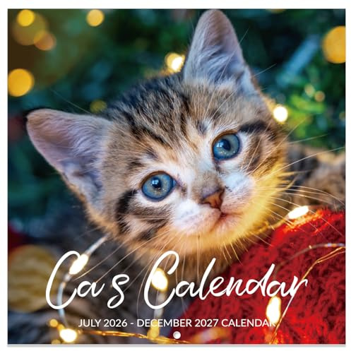 Calendar 2026-2027 - Wall Calendar 2026-2027, Jul. 2026 - Dec. 2027, 12 x 24 26-27 Wall Calendar (open), Calendars with Unruled Blocks, Thick Paper - Cutie Cat