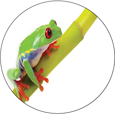 JUNTAIY Round Tablecloth, Animal Decor Tablecloth for Side Table, Cute Little Tree Frog on Branch Tribal, Fit Round Tables 56inch Diameter, Buffet Table/Parties/Holiday Dinner, Green White Red