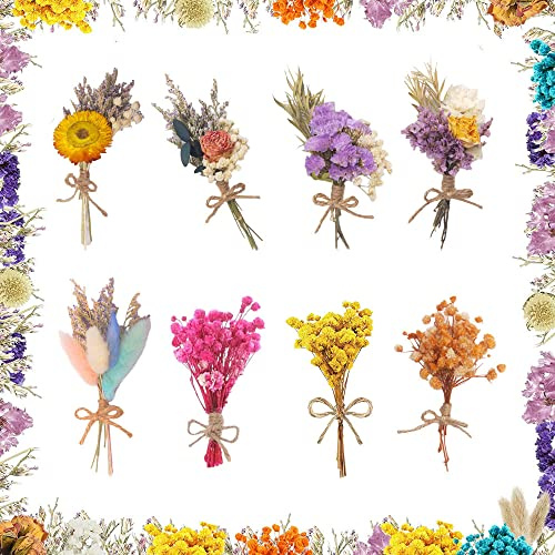 Dekorativa torkade blommor, set om 8 stycken torra blommor, naturtorkade blommor, torkade blommor bukett, för dekorativa hantverk, presentlådor, hem
