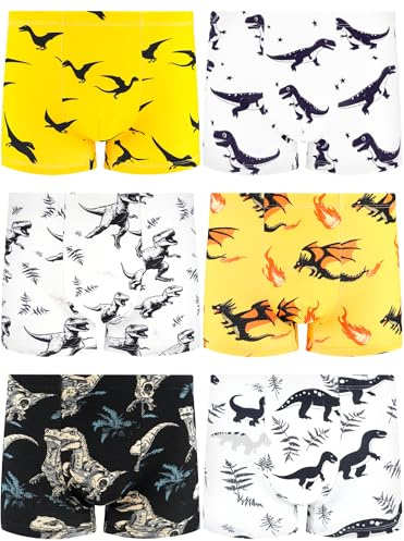 Boys Boxers Underwear Kids Pants Toddler Underpants, Dinosaur-Fire-5