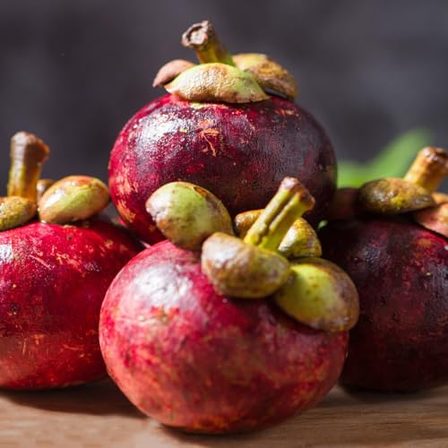 semi di mangostano, comprare da frutto frutto colonnare vecchie varietà frutteto da nani, resistenti esotico colonnari colonnari raro per giardinieri semi 13pcs