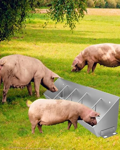 Galvanised Livestock Feed Trough, Outdoor Pig Feeder and Waterer Bottle, Full Grown Farm Feeders for Sheep, Horses, Alpacas, 5-10 Pigs