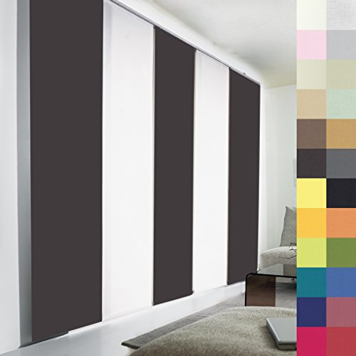 Sun World Schiebegardinen nach Maß, hochqualitative Wertarbeit, alle Größen verfügbar, Maßanfertigung, Schiebevorhang, Raumteiler, Flächenvorhang, Blickdicht (270cm Höhe x 60cm Breite/Anthrazit)