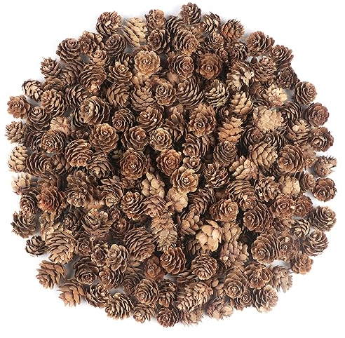 240PCS Pine Cones Christmas Natural Pinecones Small Pine Cones for Home Party Crafts Gift Wedding Christmas Tree Decoration