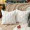 TOYPOPOR 45CM x 45CM 2er Set Weihnachten Kissenbezüge Wolle Kissenbezüge Weicher Plüsch Kurzer Wollsamt Dekokissenbezuge Luxuriöses Sofakissen Europäische Kissenhülle für Sofa Schlafzimmer