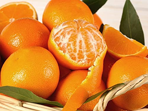 5 seeds of Mandarin - CITRUS RETICULATA:Seeds