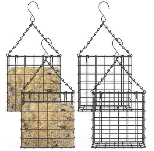 Hnvdkln 4Pcs Suet Feeder with Hanging Chain for Bird Lover Suet Bird Feeder for Outside Hanging for Sparrow Woodpecker Tit Finch