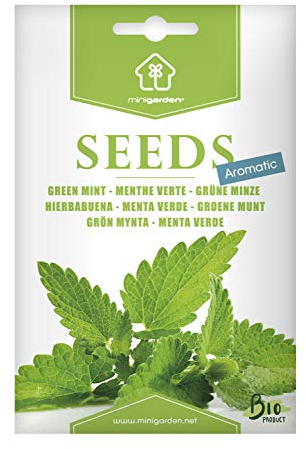 Bio-Grüne-Minze-Samen von Minigarden – 100% natürlich, GVO-frei, bereit zur Aussaat, reproduzierbar – 1.000–1.600 Samen