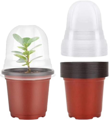 Glixoft Pots De Stimulation De Germination avec Trous De Drainage, Plateau De Démarrage De Graines, Pots De Pépinière De Plantes, Outil De Pépinière De Jardin pour Porches De Jardins 10 Pièces