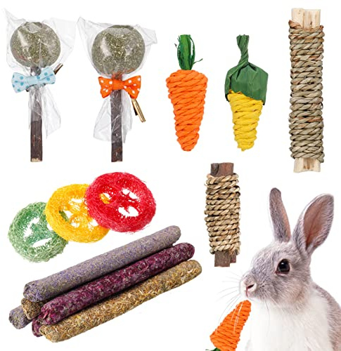 tao pipe Lot de 15 jouets à mâcher pour lapins, hamsters, petits animaux, jouets molaires naturels pour gerbilles, cochons d'Inde, lapins, hamsters