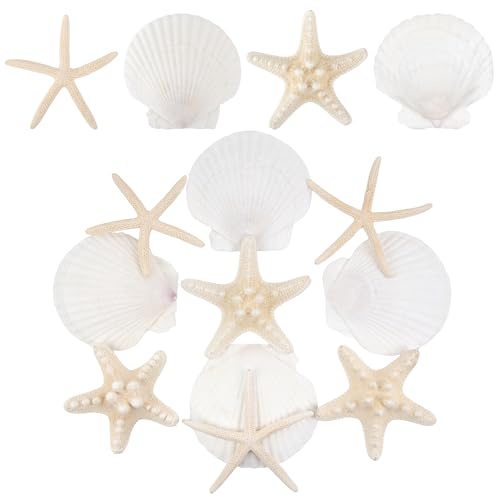 Wirow 12 PCS Mixed Starfish and Scallop Shells for Wedding Decor | 7.5-10CM Natural Sea Shells for Crafting, Beach Theme Party, Home Decorations, DIY Crafts, Fish Tank