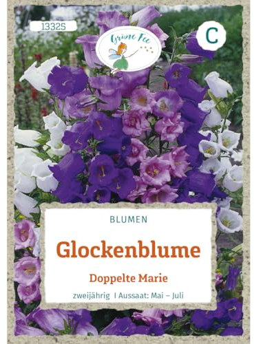 Grüne Fee - Glockenblume Doppelte Marie Samen - 13325