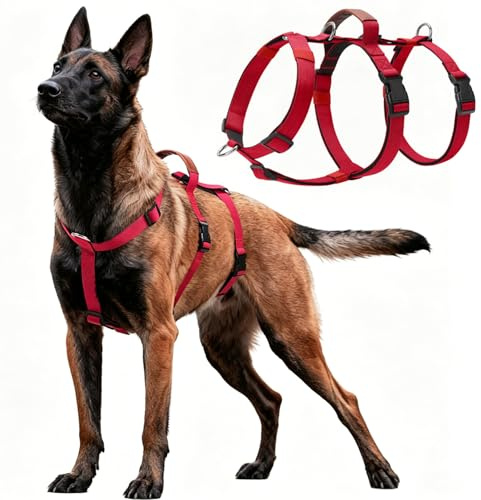 para Evitar Que Tu Perro Tire De La Correa, Arnés Antitirones para Perros, para Adiestramiento con Correa y Arnés, para Pasear con Total Tranquilidad, para Perros Todos Los Tamaños, XL (Rojo)