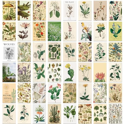 50 Pcs Cartes Postales Botaniques – Cartes d'Art Paysage Floral pour Décoration Murale, Scrapbooking, Vœux, Invitations et Décoration d'Intérieur, Style Vintage Frais