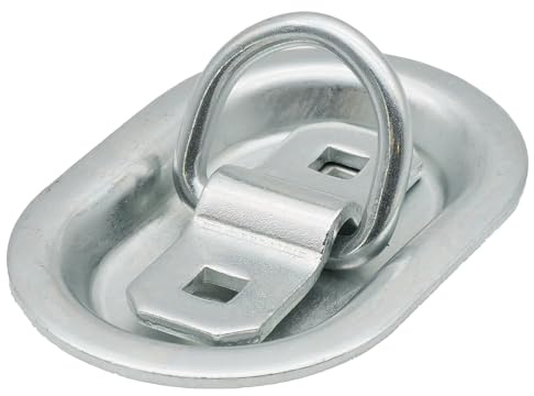 NTG Anello di ancoraggio con anello per montaggio fino a 800 daN, portata 800 kg, staffa di ancoraggio (1 pezzo)