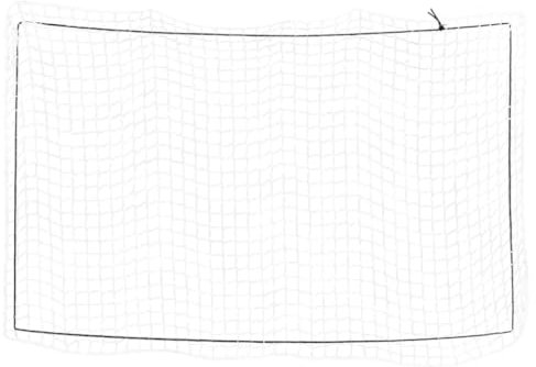 Gecheer Anhängernetz, Hängernetz, Abdecknetz für Anhänger, Transportnetz, Ladungssicherungsnetz, Gepäcknetz, mit Gummiseil Weiß 4x2,5 m PP