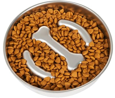 Slow Feeder Dog Bowls - Stainless Steel Dog Slow Feeding Bowl,Anti Choking Healthy Eating Basin for Medium Large Breeds Pet Animals Indoor Care
