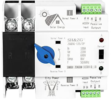 DEWIN Interruptor de Transferencia Automática, 2P 100A 220V ATS Fotovoltaico Interruttore Elettronico